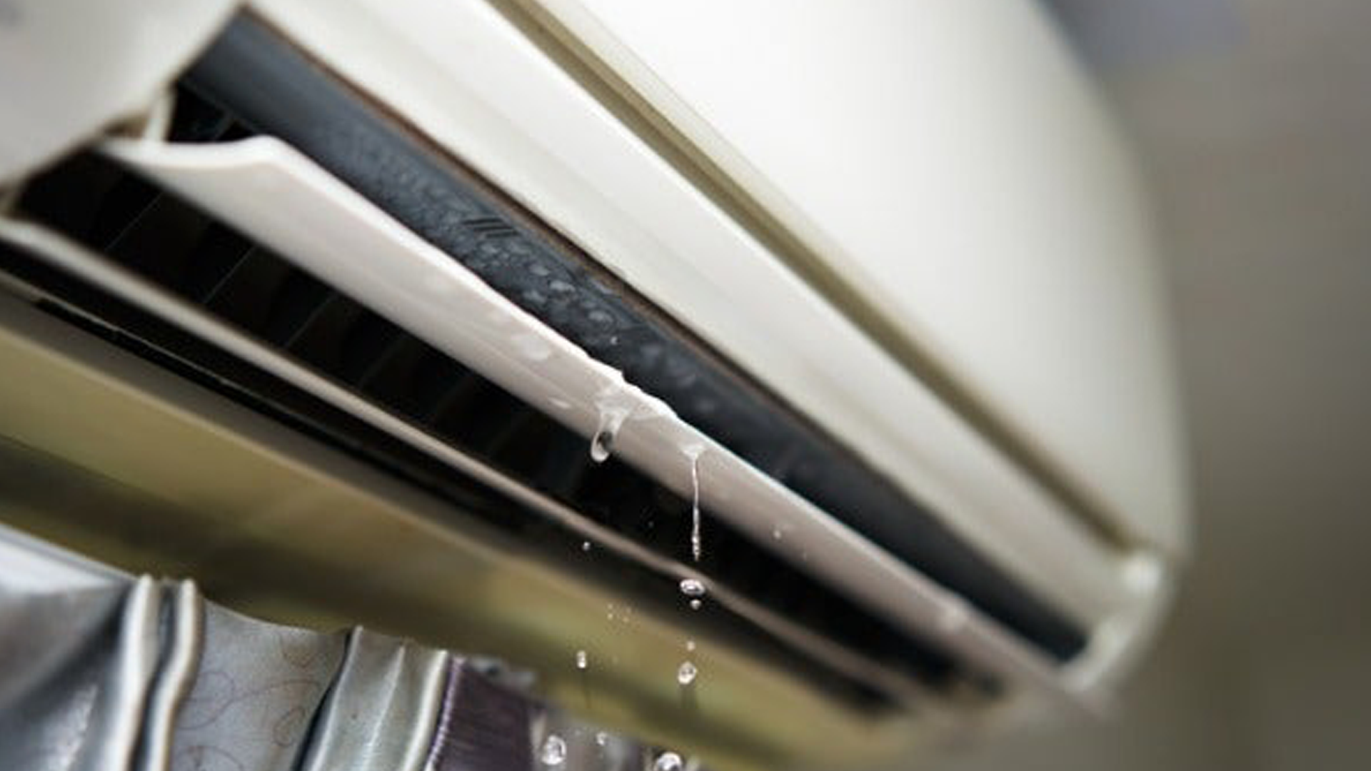 【冷氣滴水成因】夏天最怕室內變「水簾洞」？冷氣專家拆解 5 大滴水關鍵：原來與一粒壁虎糞有關？